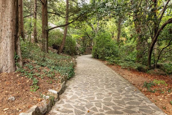 Stone Walkway Repair in Strongsville